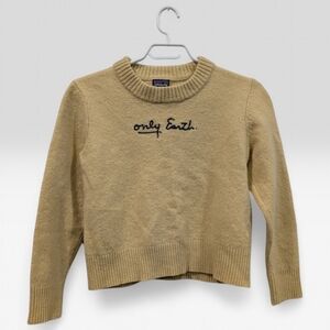 Patagonia Only Earth Recycled Wool Sweater | Small | Cropped Fit